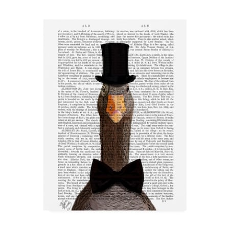 Fab Funky 'Distinguished Goose' Canvas Art,35x47